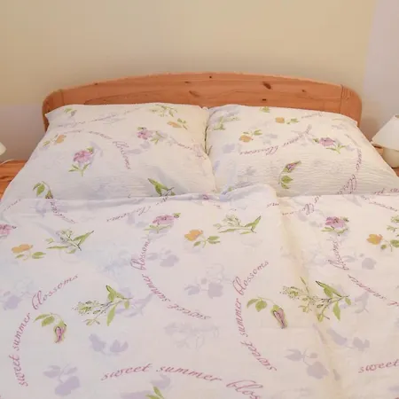 شقة Haus Hagen شيبينيك